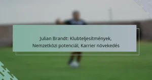 Julian Brandt: Klubteljesítmények, Nemzetközi potenciál, Karrier növekedés